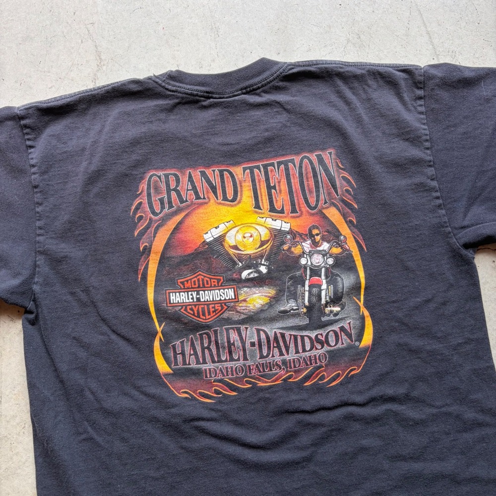 Vintage Harley-Davidson Grand Teton Idaho Falls Pocket T-Shirt Mens Large Black